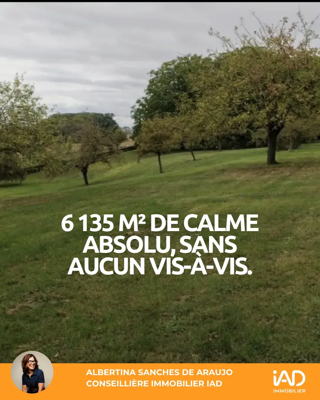 Slide 2 du carrousel IAD Immobilier