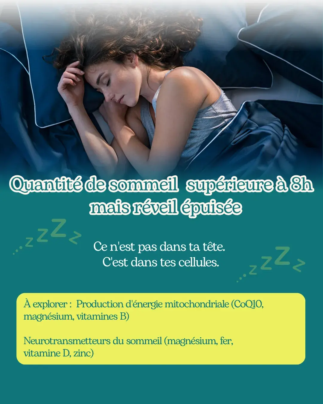 Volet 2 sur 5 du carrousel de Théophile Collas