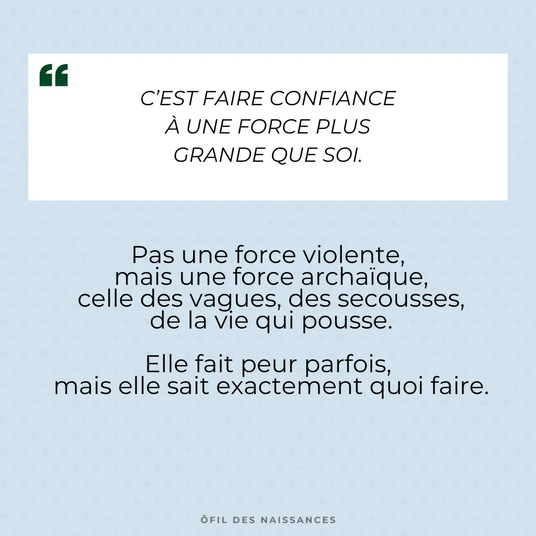 Volet 3 du carrousel O Fil des Naissances