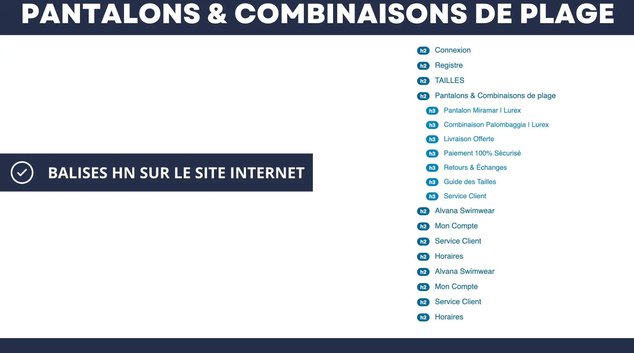 Extrait de l’audit Alvana Swimwear sur les balises Hn