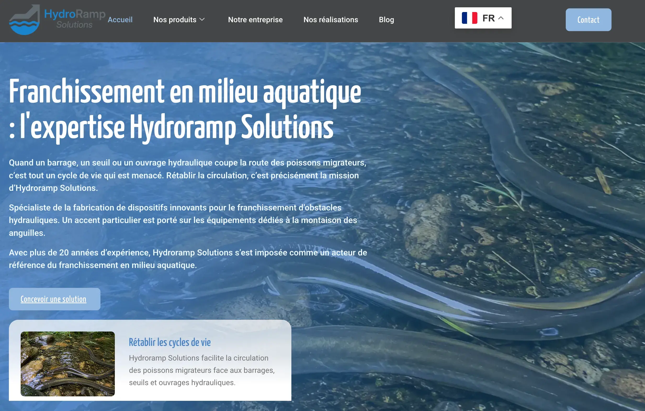 Création du site WordPress Hydroramp Solutions, spécialiste du franchissement en milieu aquatique