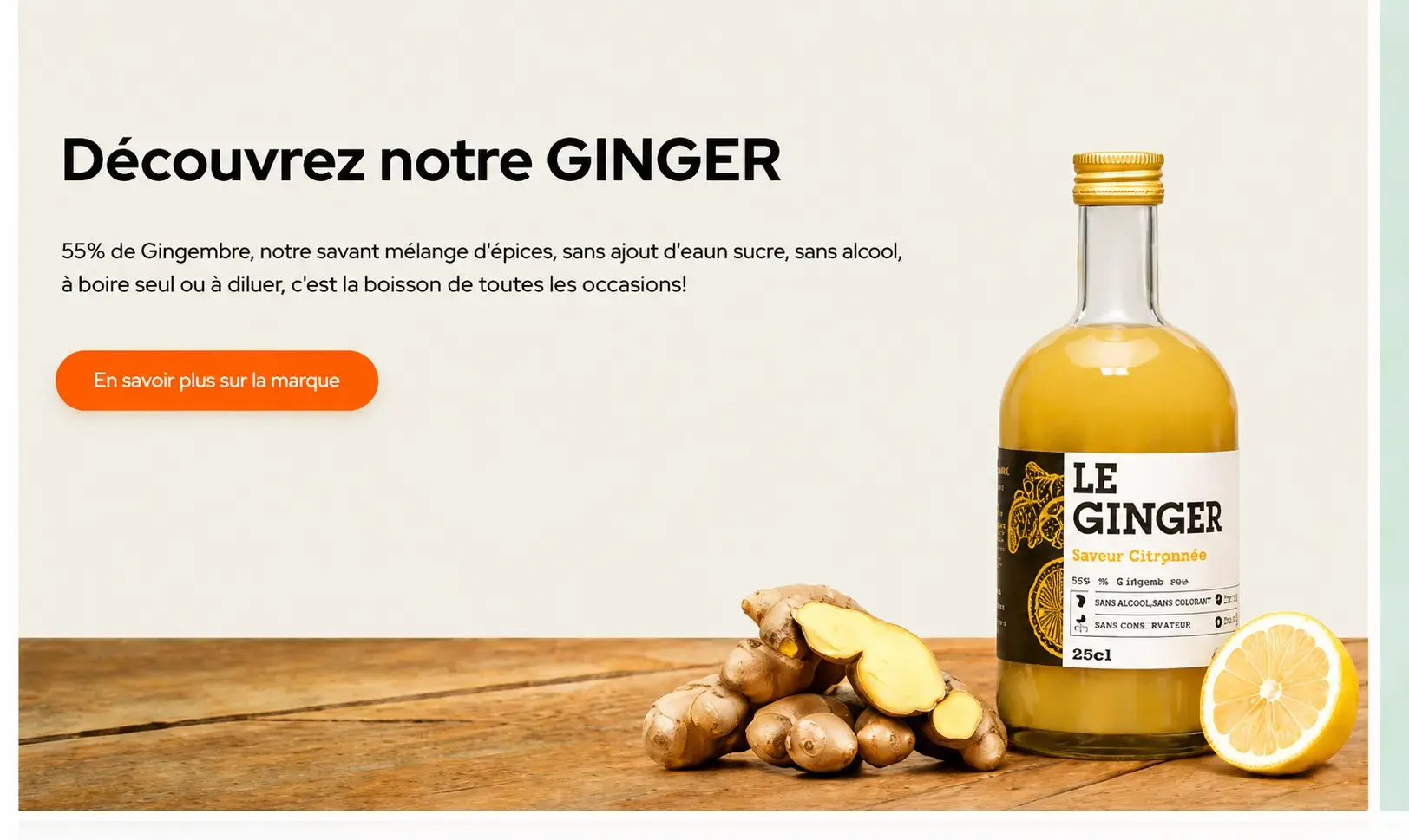 Aperçu du projet de copywriting Gopy