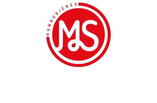 Logo MS Maine Street